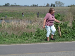 Chascomus