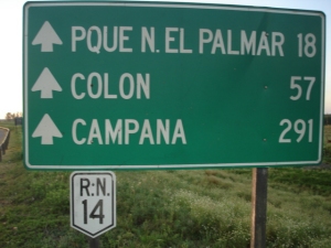 palmar